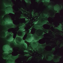 Charger l&#39;image dans la galerie, Pomme de Touline | Classique P550 - Le Phosphorescent
